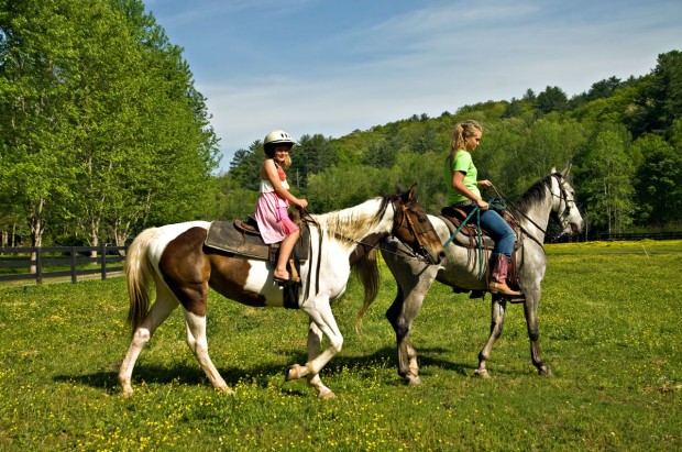 Reiten am Scheickgut in Reitdorf